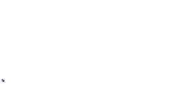 pallone grande.gif (15106 byte)